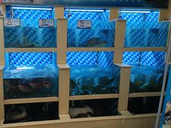 -野渡坡·极致湘菜·庭院餐厅(汉阳店)