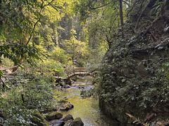 -莫里热带雨林景区