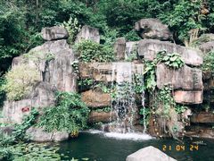 -广州神农草堂中医药博物馆