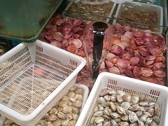 -和源祥·日照菜扛把子(万平口一店)