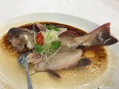 东星斑-渔民新村(番禺总店)