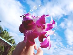 -半山半岛洲际度假酒店·观海廊