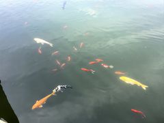 -白马涧龙池景区