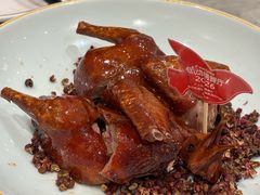 大红袍乳鸽王-朱记乳鸽王·非遗石岐乳鸽·全鸽宴(大兴旗舰店)