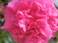 -土砂锅生态山庄·非遗砂锅雅鱼