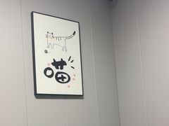 -半岛宠物医院24小时(科华中路店)