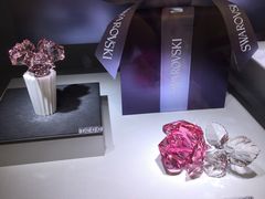 -SWAROVSKI(王府井百货店)