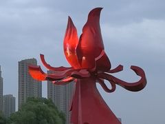 -曹州牡丹园