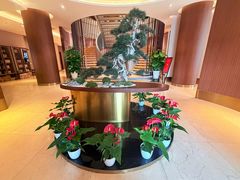 -松鹤楼(狮山永利广场店)