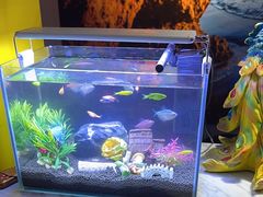 -憩泰SPA(三林店)
