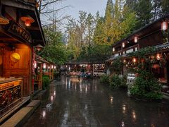 -青城甲(青城山店)