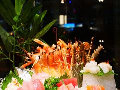 蓝鳍金枪鱼大腹-九井澤精致料理(金茂店)