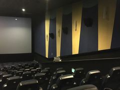 -AMG海上明珠影城(上海环球港RealDCinema店)