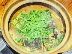 -九道菜有鸡鱼头(石鼓路店)