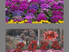 -广州莲花山旅游区