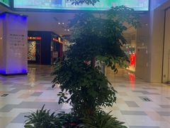 -鹏欣水游城