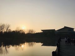 -溱湖国家湿地公园