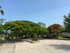 -胡里山炮台