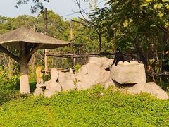 -深圳野生动物园