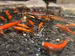 -南堂館川菜文化餐厅(天府店)
