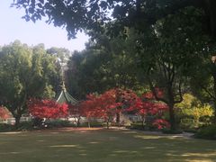 -申粤轩酒楼·三十年粤菜经典(丁香花园店)