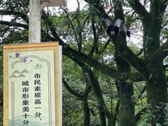 -广州市石门国家森林公园