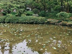 -秋霞圃