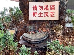 -香山家宴