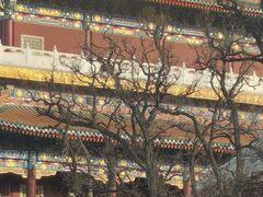 -天津大悲禅院