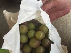 -马陆小张葡萄园农家乐