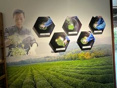 -中国茶叶博物馆(双峰馆区)