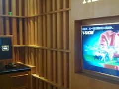 -V-SHOW主题KTV(新城店)