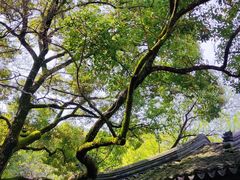-西园戒幢律寺
