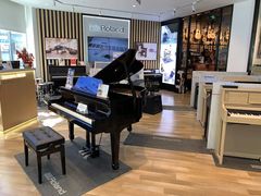 -柏斯琴行(汾阳店)