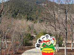 -佛慧山