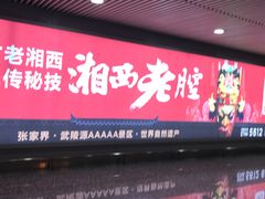 -张家界荷花国际机场航站楼-国内出发