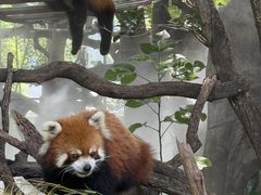 -常州淹城野生动物世界