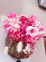 -玛尼瑜伽·普拉提