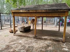 -长白岛森林公园