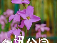 -上海鲁迅公园