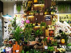-樟宜机场免税店