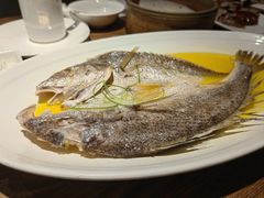 清蒸大黄鱼-全聚德(江宁店)