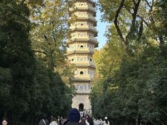 -灵谷景区