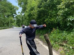 -青龙山国家森林公园