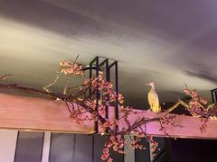 -老板恋上鱼(环山路店)