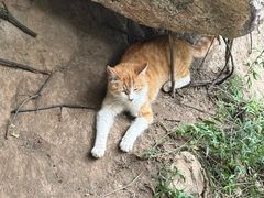 -终南山南五台景区