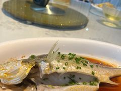 -京粤荟(海王银河科技大厦店)