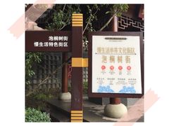 -泡桐树街