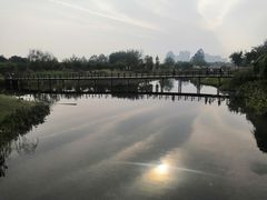 -眉山湿地公园(东坡区)