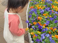 -文山荷鲜居(翠湖店)